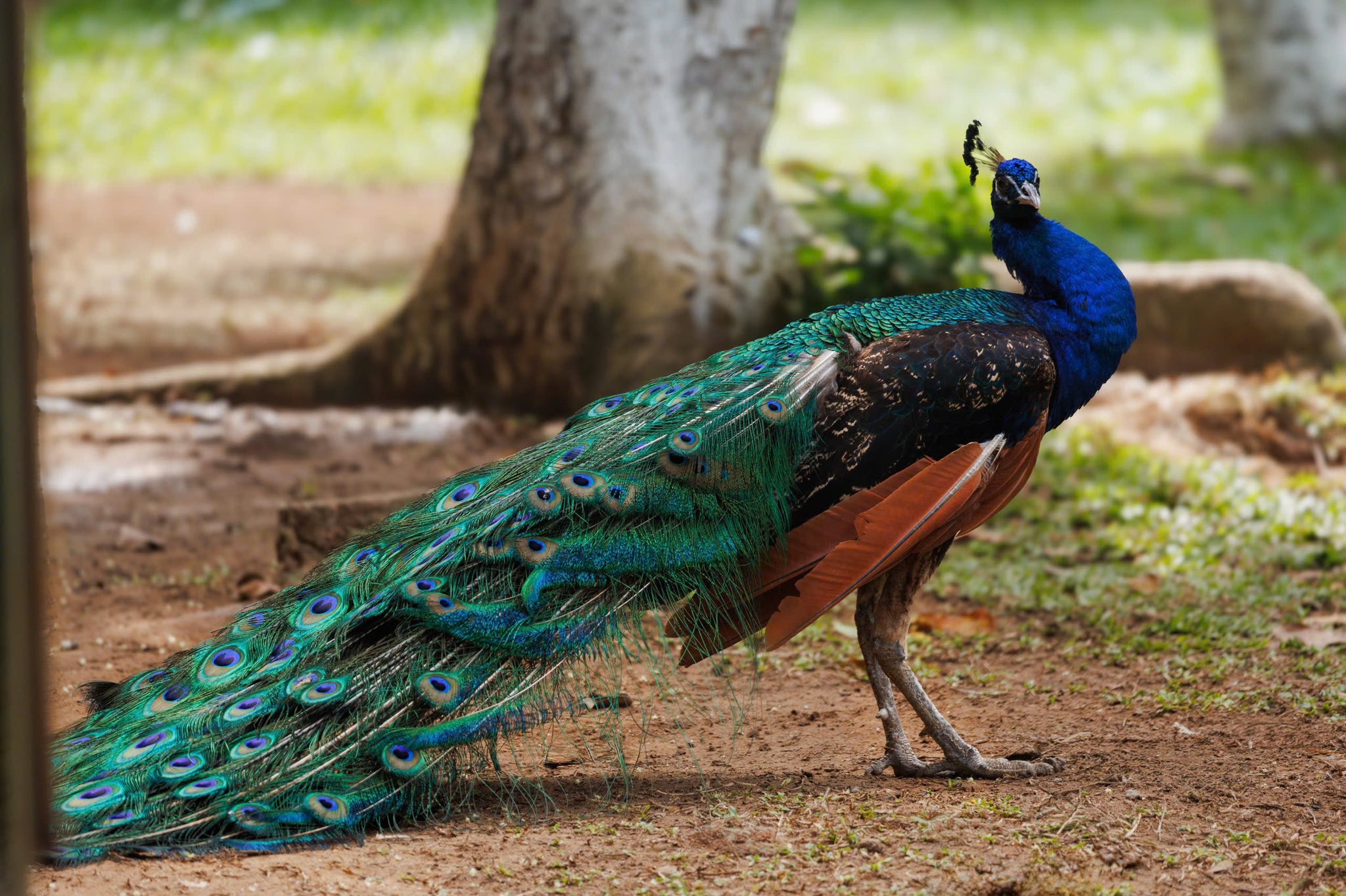 502377578 741313071742142 6090313620112607140 n