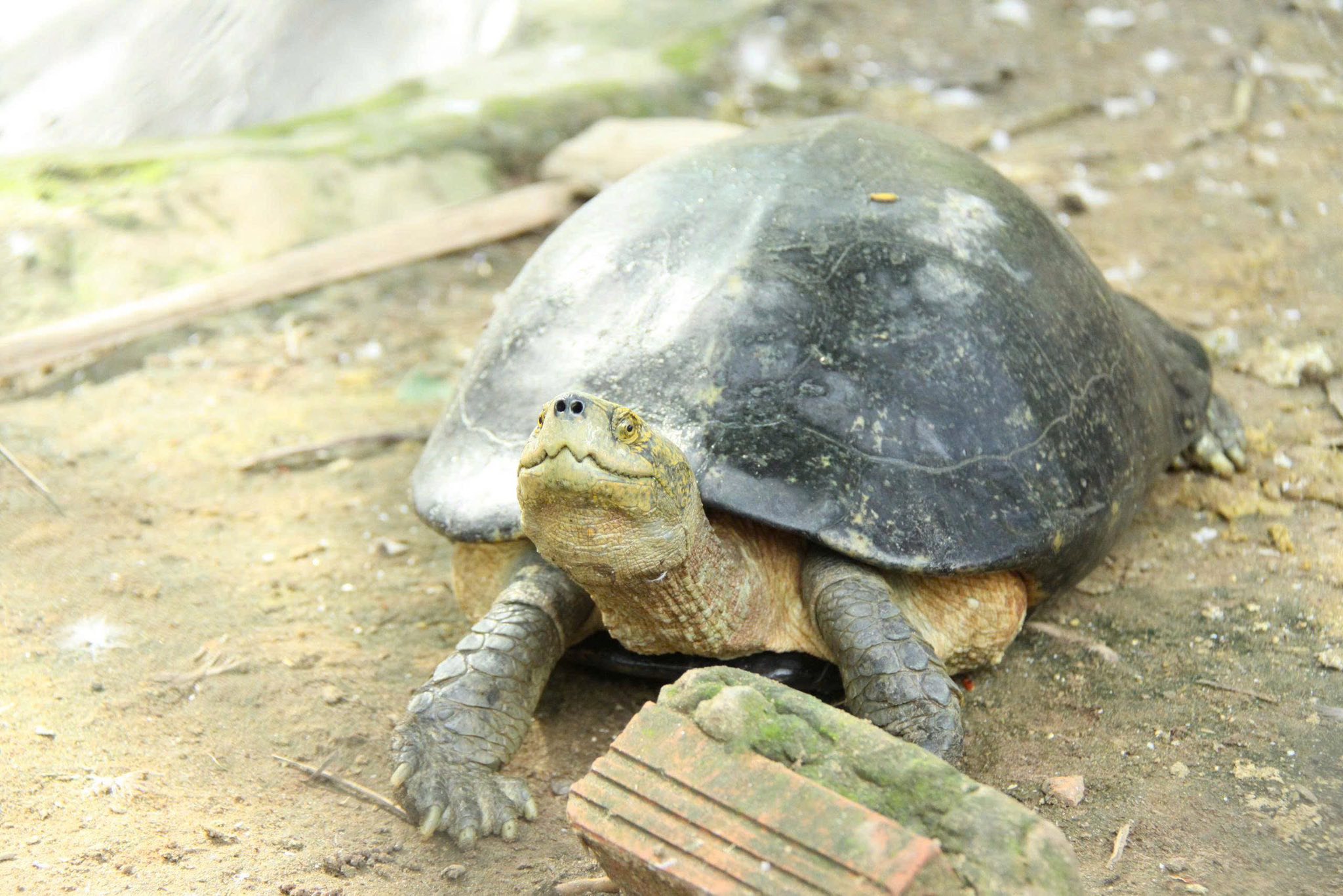 510497212 741312798408836 5993538868518852686 n