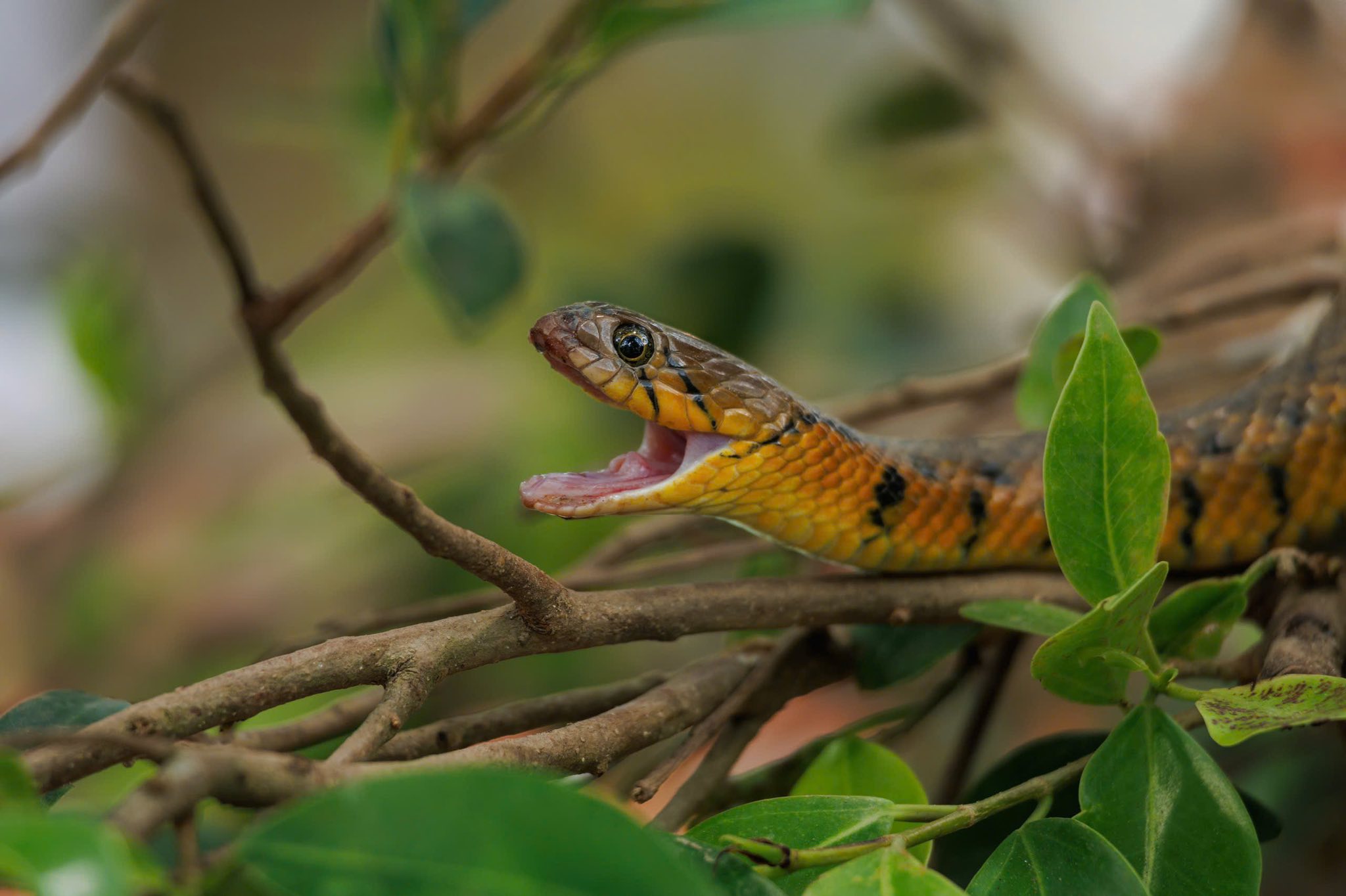 511027893 741313475075435 3370117666708248798 n