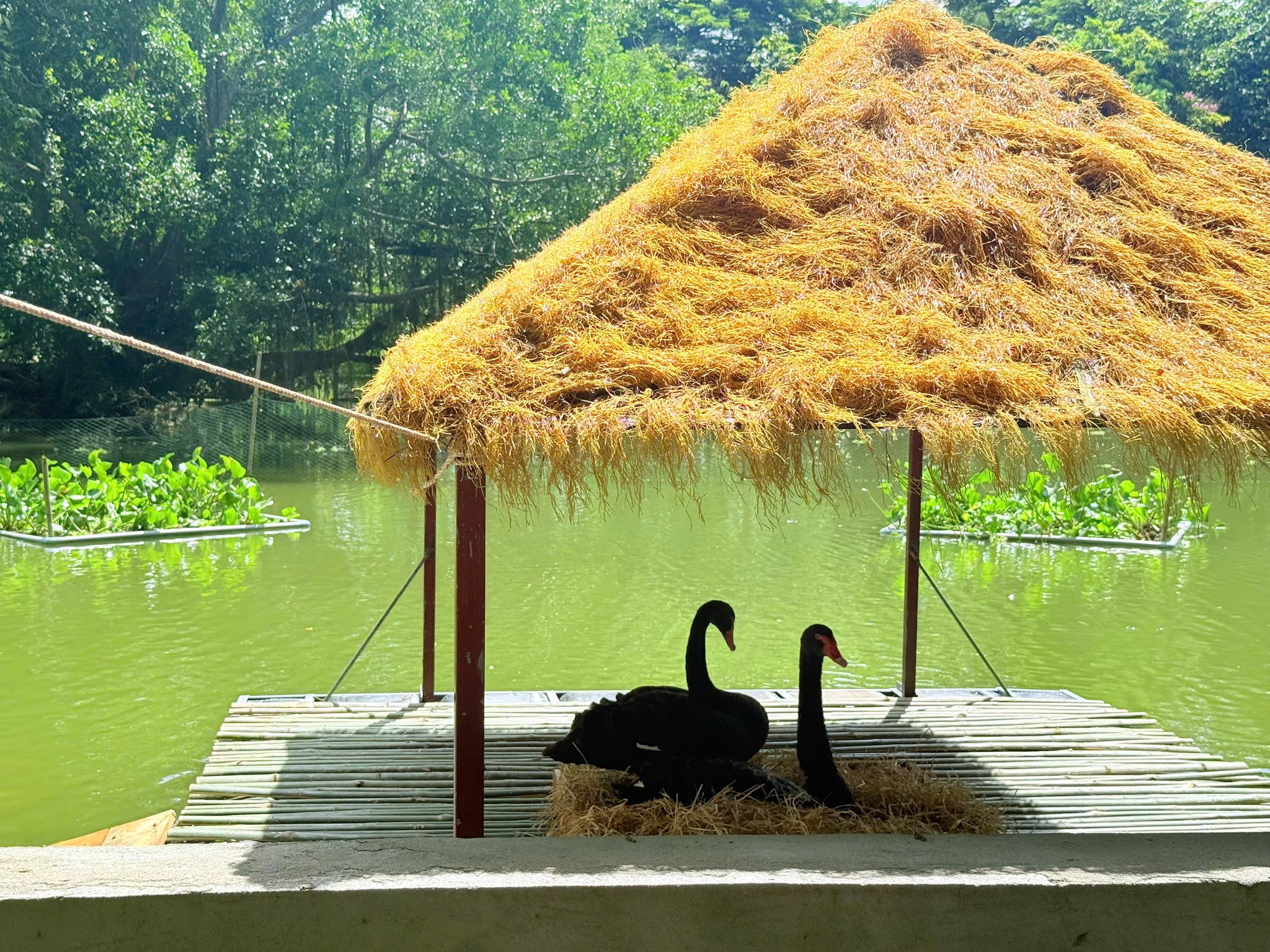 518306125 757302160143233 7514610406189063443 n