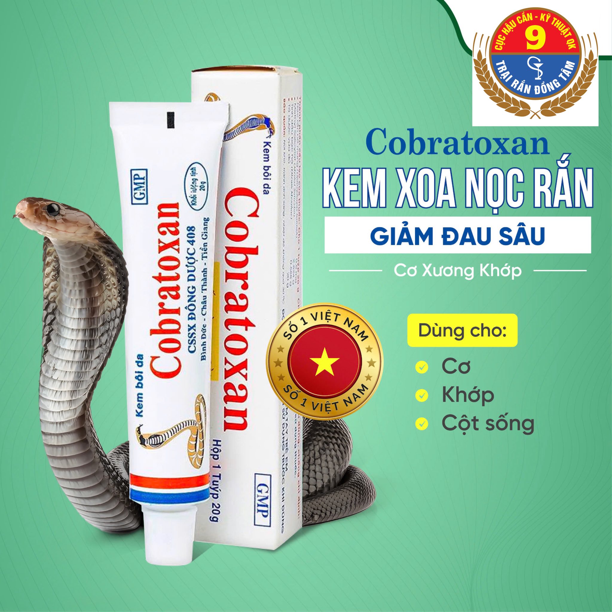 549187342 814316141108501 4106471406403616538 n