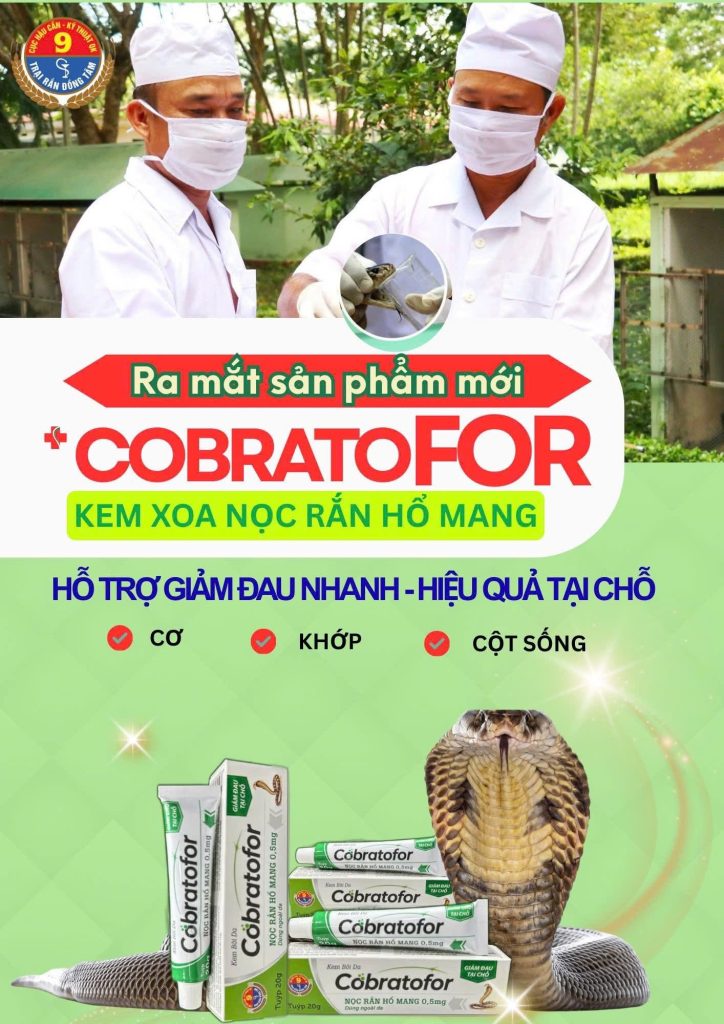 564154898 836408642232584 5242582103164853281 n