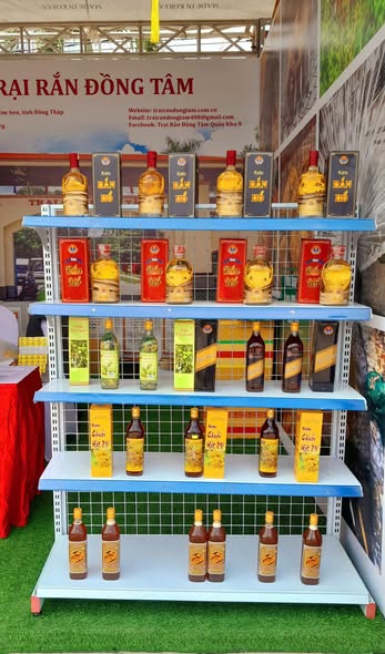 594313986 873147731892008 616399526000198964 n